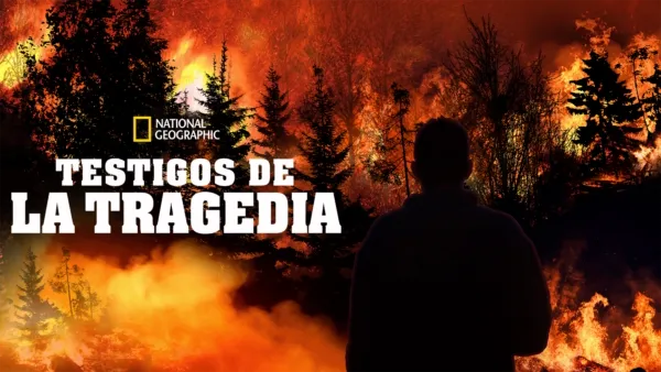 thumbnail - Testigos de la tragedia