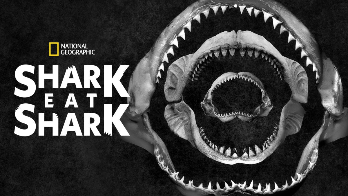 Watch Shark Eat Shark Disney+