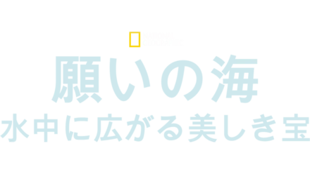 願いの海：水中に広がる美しき宝