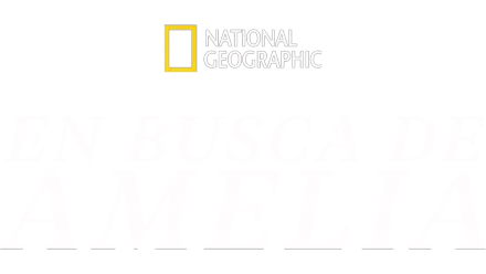 En Busca de Amelia