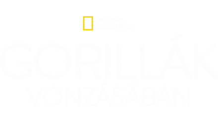 Gorillák vonzásában