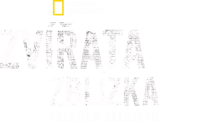 Zvířata zblízka s Bertiem Gregorym