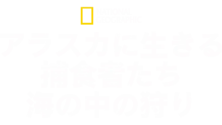 アラスカに生きる捕食者たち