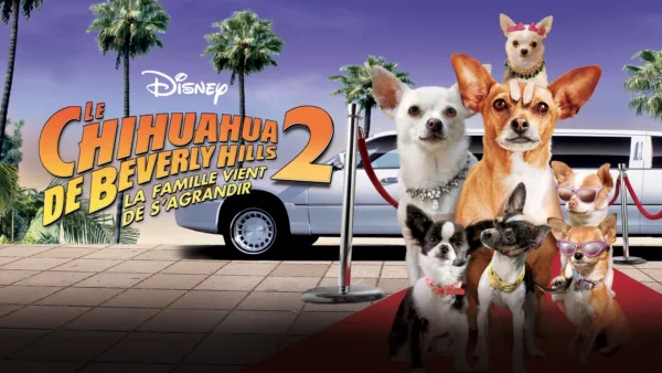 thumbnail - Le Chihuahua de Beverly Hills 2: La Famille Vient de S’Agrandir