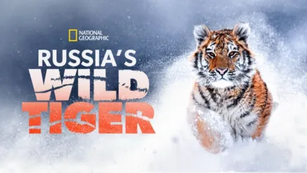 thumbnail - Russia's Wild Tiger