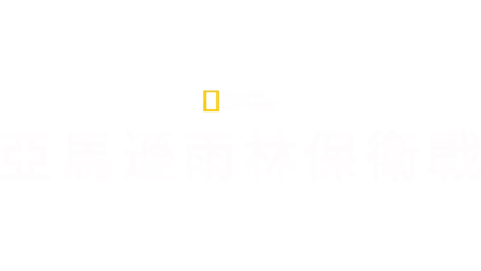 亞馬遜雨林保衛戰