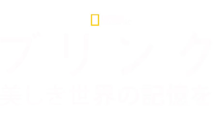 ブリンク～美しき世界の記憶を