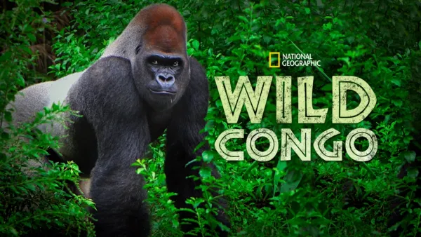 thumbnail - Wild Congo