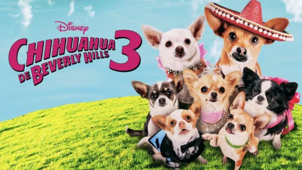 thumbnail - Chihuahua de Beverly Hills 3