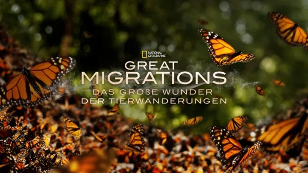 thumbnail - Great Migrations - Das große Wunder der Tierwanderungen