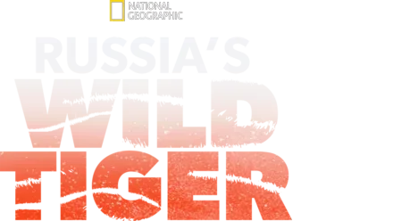 Russia's Wild Tiger