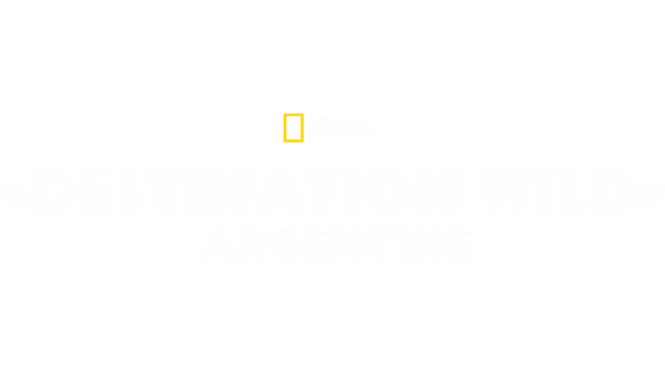 Destination Wild: Argentine