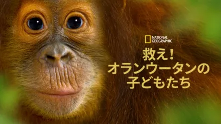 thumbnail - Operation Orangutan