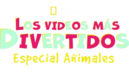 Los videos más divertidos: Especial animales