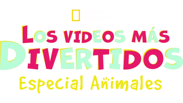 Los videos más divertidos: Especial animales