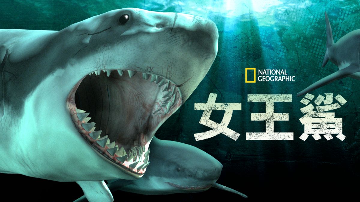 觀看女王鯊 全套電影 Disney