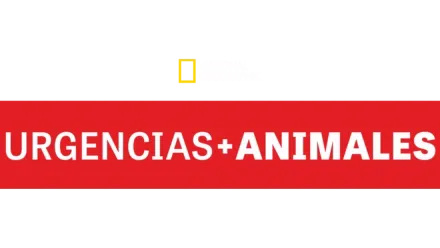 Urgencias animales