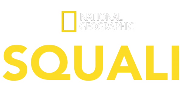 National Geographic: Squali Title Art Image