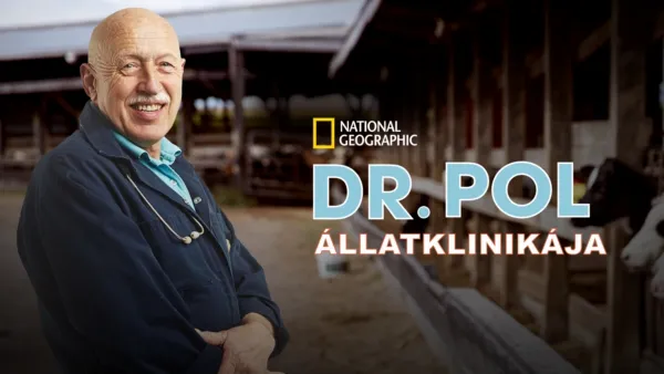 thumbnail - Dr. Pol állatklinikája