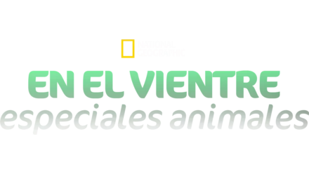 En el Vientre: Especiales Animales