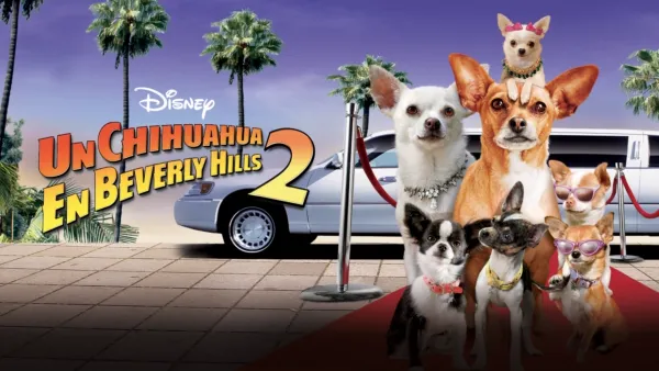 thumbnail - Un chihuahua en Beverly Hills 2