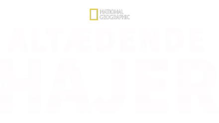 Altædende hajer