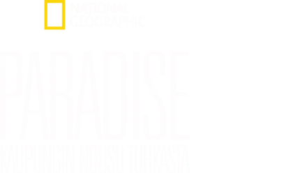 Paradise: Kaupungin nousu tuhkasta