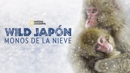 thumbnail - Wild Japón: monos de la nieve