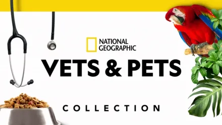thumbnail - Vets and Pets
