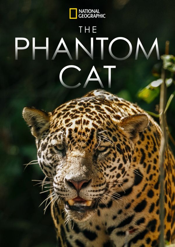 The Phantom Cat on Disney+ US