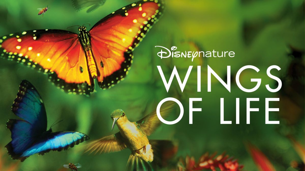 Watch Disneynature Wings of Life Full Movie Disney+