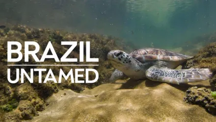 thumbnail - Brazil Untamed