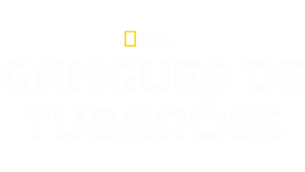 Gangues de Tubarões