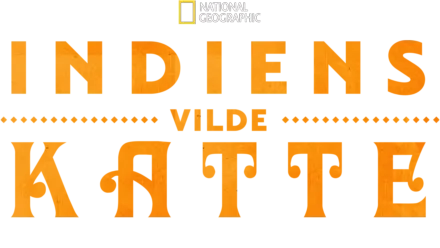 Indiens vildkatte