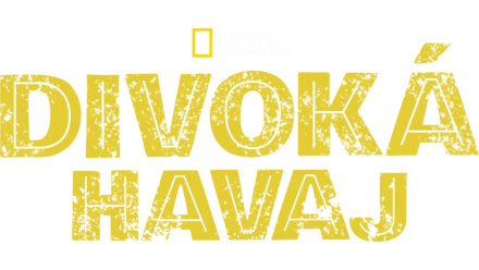 Divoká Havaj