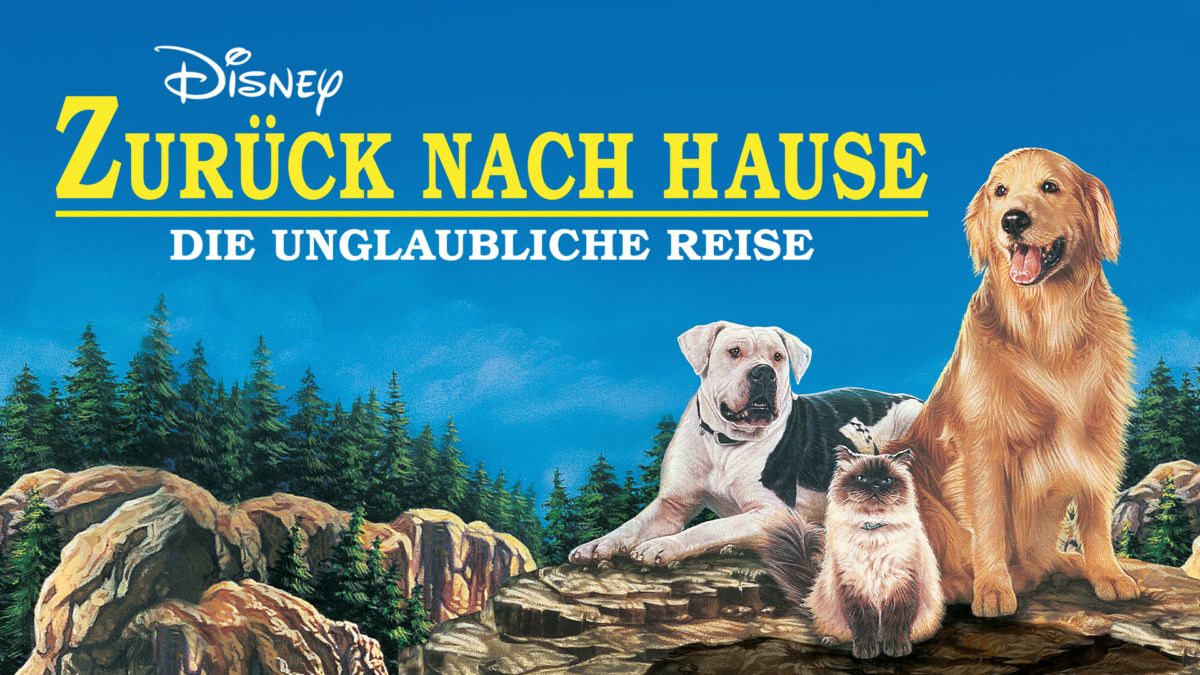 Nach Rtl & Sky Deal: Die Unglaubliche Kehrtwende Bei Disney! - x7mv2wz