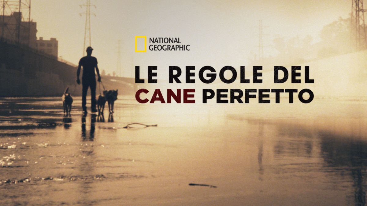Guarda episodi completi di Le Regole Del Cane Perfetto Disney+