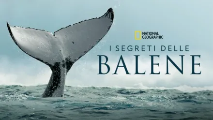 thumbnail - I segreti delle balene