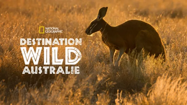 thumbnail - Wild Australia