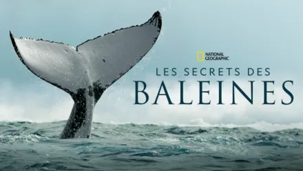 thumbnail - Les secrets des baleines