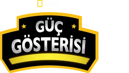 Güç Gösterisi