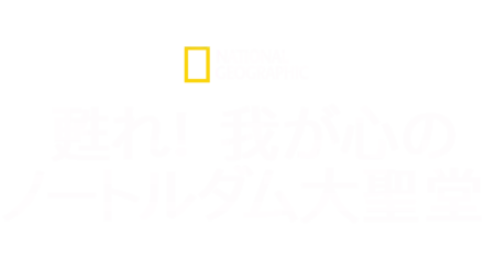 甦れ！我が心のノートルダム大聖堂