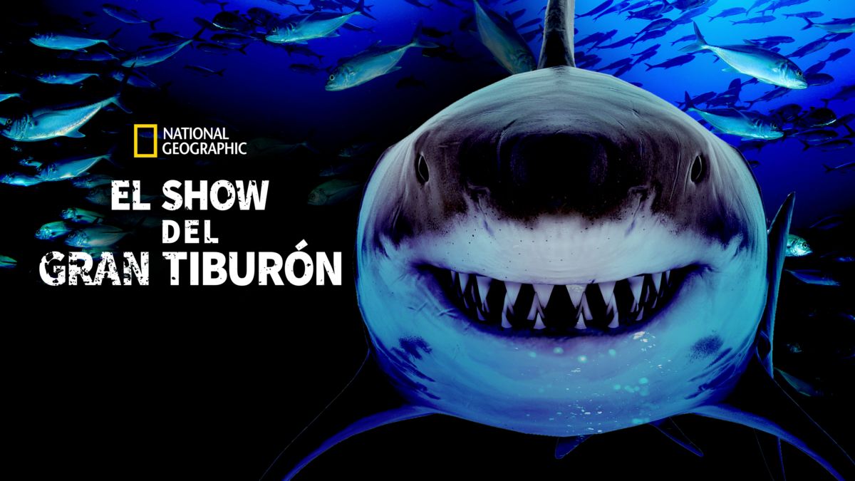 Ver El show del gran tiburón Película completa Disney+