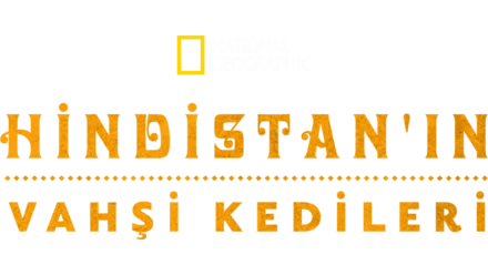 Hindistan'ın Vahşi Kedileri