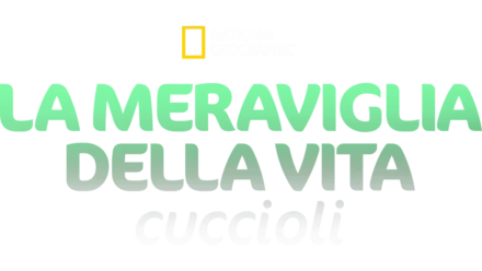 La meraviglia della vita: Cuccioli