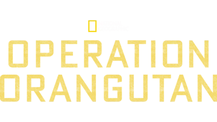 Operation Orangutan