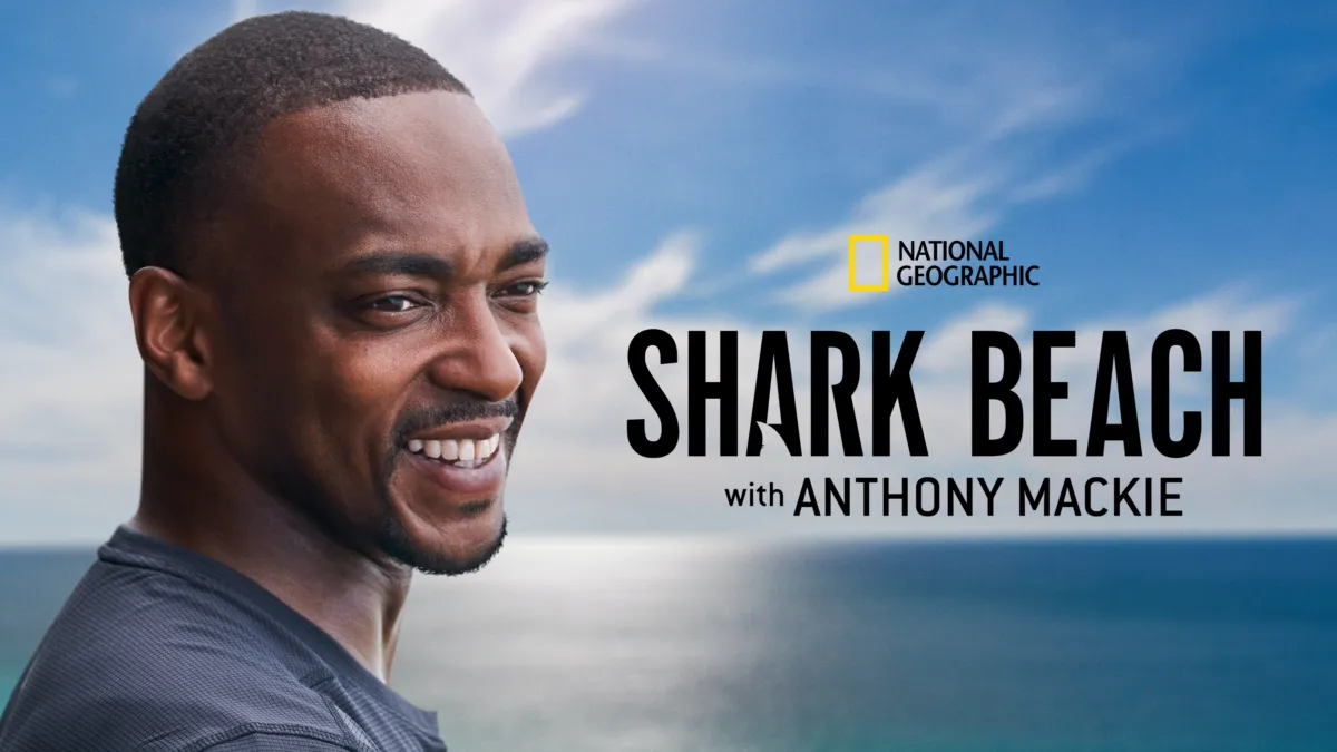 Watch Shark Beach with Anthony Mackie: Gulf Coast | Disney+