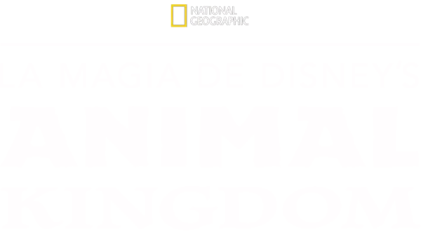 La Magia de Animal Kingdom de Disney