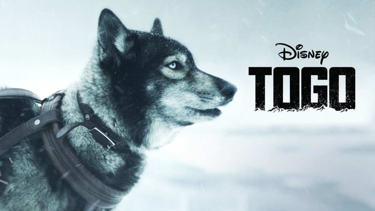 Togo Pelicula Completa En Español Youtube