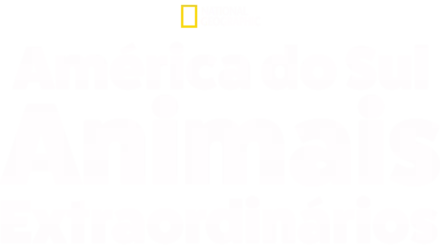 América do Sul: Animais Extraordinários